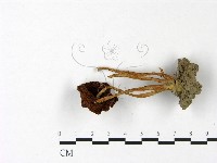 登錄號:F0022984藏品圖，第3張