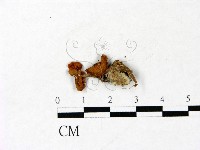 登錄號:F0022987藏品圖，第3張