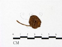 登錄號:F0022991藏品圖，第1張