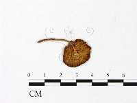 登錄號:F0022991藏品圖，第3張