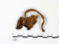 登錄號:F0022992藏品圖，第3張