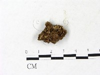 登錄號:F0022993藏品圖，第1張