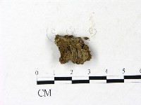 登錄號:F0022993藏品圖，第3張
