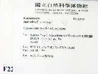 登錄號:F0022995藏品圖，第2張