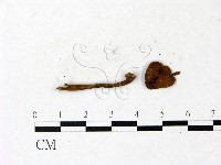 登錄號:F0022996藏品圖，第1張