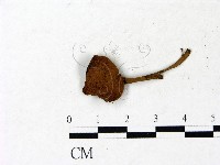 登錄號:F0022997藏品圖，第1張