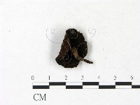 登錄號:F0023000藏品圖，第3張