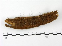 登錄號:F0023001藏品圖，第1張