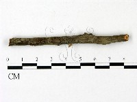 登錄號:F0023003藏品圖，第1張