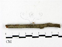 登錄號:F0023003藏品圖，第3張