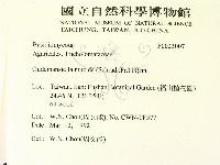 登錄號:F0023007藏品圖，第2張