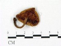 登錄號:F0023007藏品圖，第3張