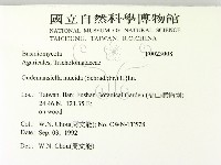 登錄號:F0023008藏品圖，第2張