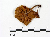 登錄號:F0023008藏品圖，第3張