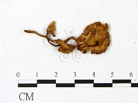 登錄號:F0023010藏品圖，第3張