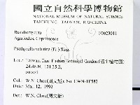 登錄號:F0023011藏品圖，第2張
