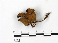 登錄號:F0023011藏品圖，第1張