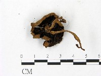 登錄號:F0023011藏品圖，第3張
