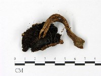 登錄號:F0023012藏品圖，第3張