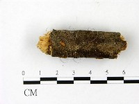 登錄號:F0023013藏品圖，第3張