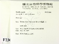 登錄號:F0023014藏品圖，第2張
