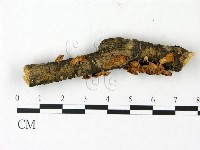 登錄號:F0023014藏品圖，第1張