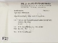 登錄號:F0023017藏品圖，第2張