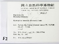 登錄號:F0023019藏品圖，第2張