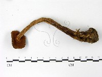 登錄號:F0023019藏品圖，第3張