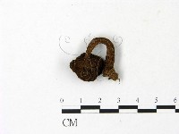 登錄號:F0023020藏品圖，第1張