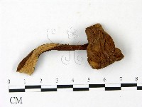 登錄號:F0023022藏品圖，第1張