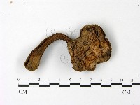 登錄號:F0023024藏品圖，第1張