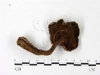 登錄號:F0023024藏品圖，第3張