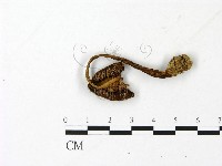 登錄號:F0023026藏品圖，第3張