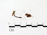 登錄號:F0023028藏品圖，第1張