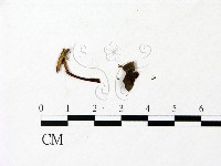 登錄號:F0023028藏品圖，第3張