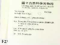 登錄號:F0023029藏品圖，第2張