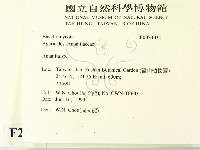 鵝膏屬藏品圖，第2張