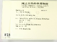 登錄號:F0023035藏品圖，第2張