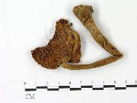 登錄號:F0023035藏品圖，第3張