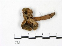 登錄號:F0023036藏品圖，第1張