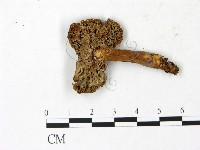 登錄號:F0023036藏品圖，第3張