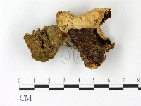 登錄號:F0023037藏品圖，第3張