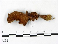 登錄號:F0023038藏品圖，第1張