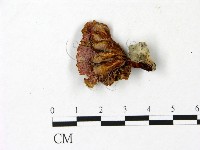 登錄號:F0023039藏品圖，第1張