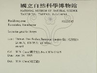 登錄號:F0023042藏品圖，第2張