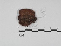 登錄號:F0023042藏品圖，第1張