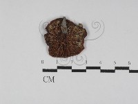 登錄號:F0023042藏品圖，第3張
