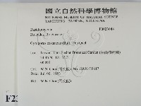 登錄號:F0023044藏品圖，第2張