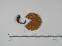 登錄號:F0023044藏品圖，第1張